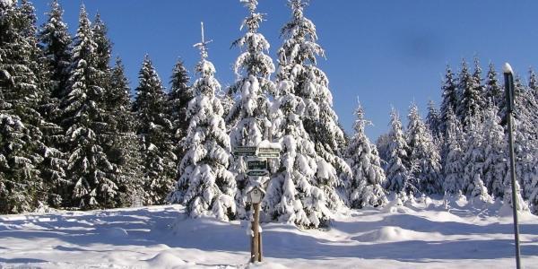Pension & Gasthof "Am Park" Ug Stutzerbach ภายนอก รูปภาพ